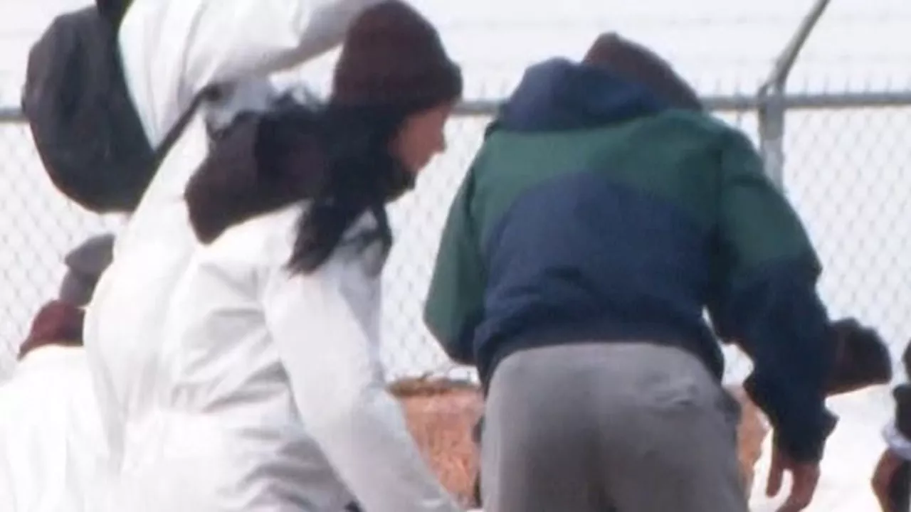 Animal Rights Protesters Clash with Police at Wisconsin Beagle Research Facility